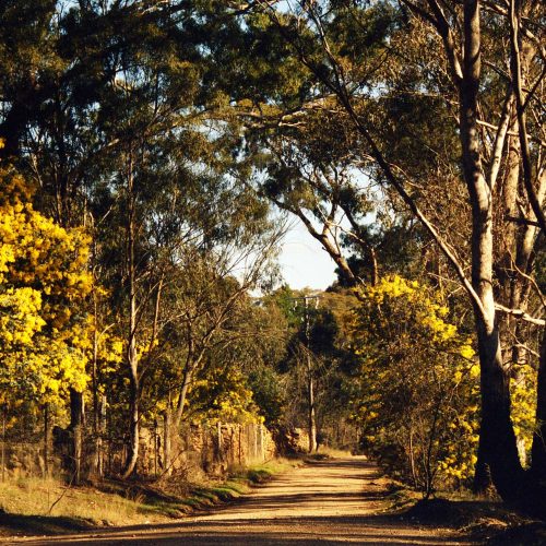 Aust_Vic_Castlemaine_Moonlight-Flat_Colles-Rd_05